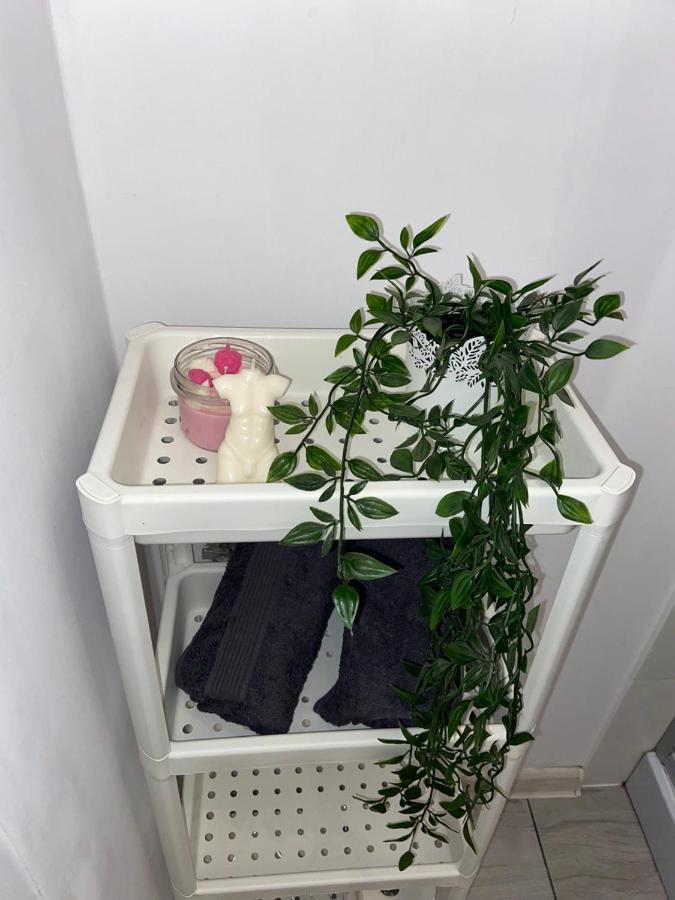 Apartament Grunwaldzka Bydgoszcz Ngoại thất bức ảnh